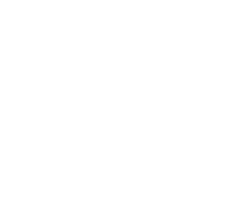 logo-icon